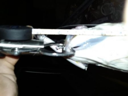 『バグる』でシーバス２匹！